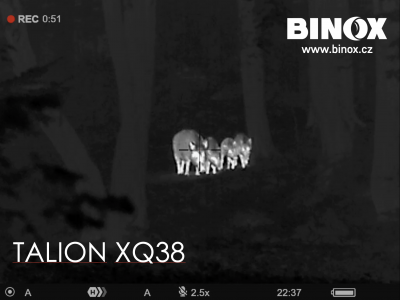 Pozorování s Pulsar Talion XQ38 Pozorování s Pulsar Talion XQ38