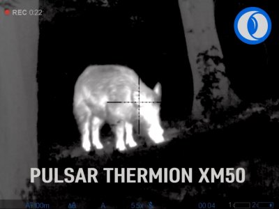 Thermion XM50 Thermion XM50