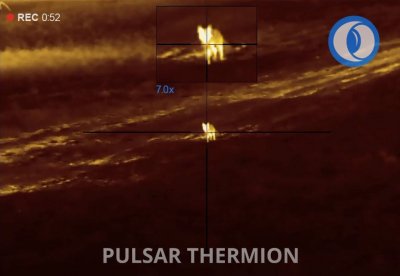 Pulsar Thermion Pulsar Thermion