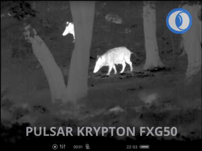 Pozorování s termovizní předsádkou Krypton FXG50 Pulsar Krypton FXG50